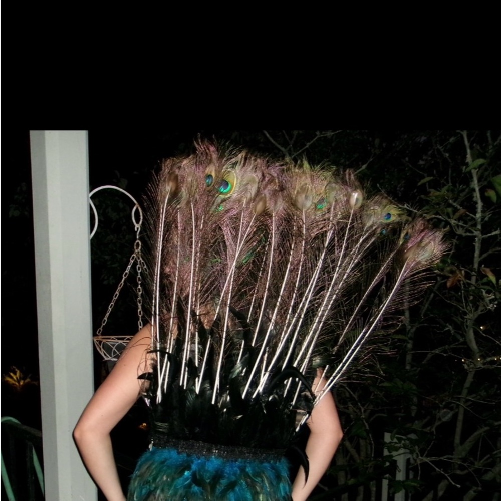 Peacock costume with accessories